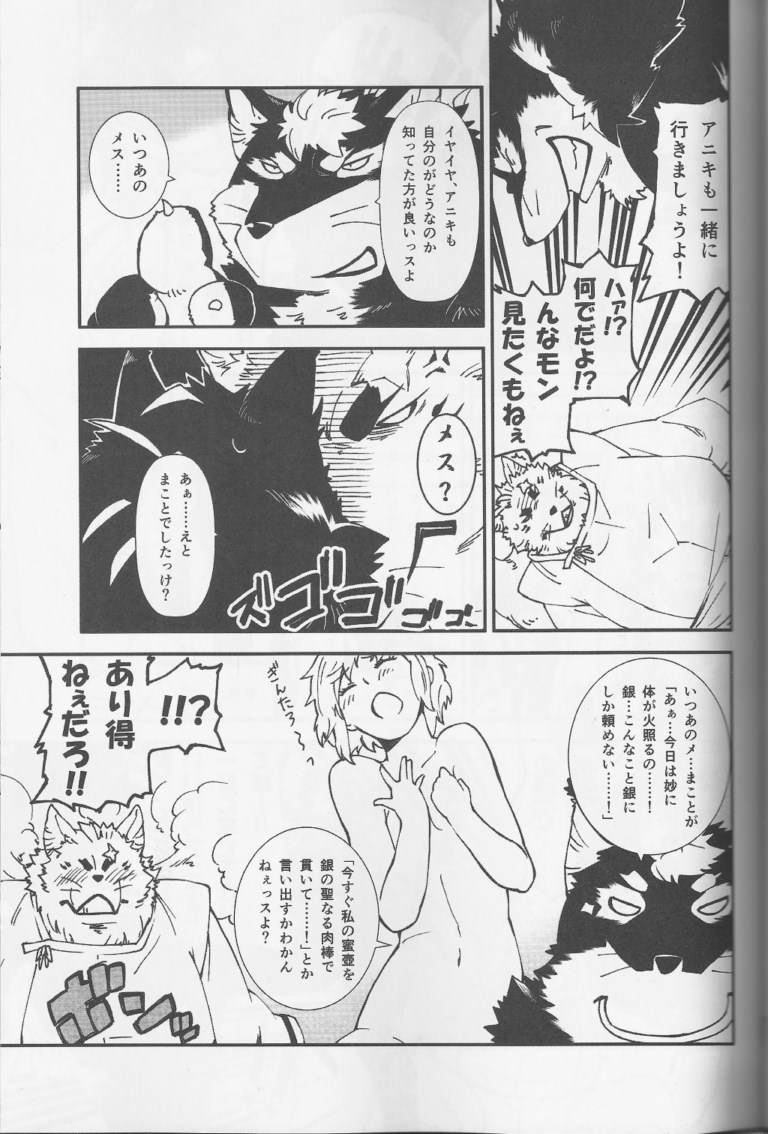 (Fur-st 7) [Toratora-ya (Toratora)] Gin-tetsu-ne (Gingitsune) - Page 12