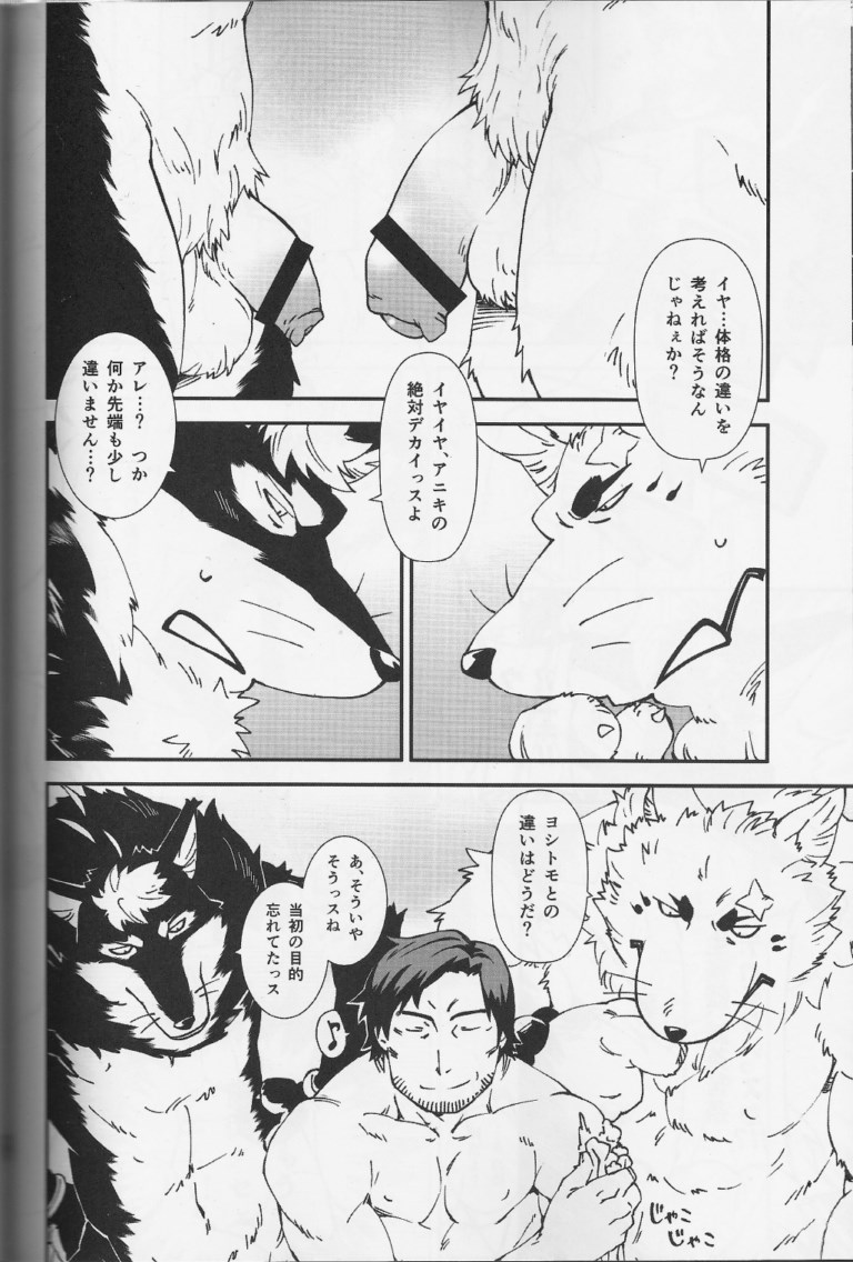 (Fur-st 7) [Toratora-ya (Toratora)] Gin-tetsu-ne (Gingitsune) - Page 17