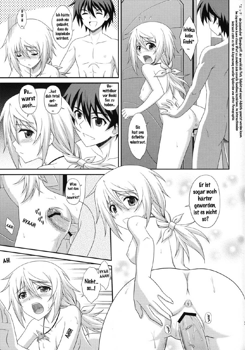 (COMIC1☆5) [CROSS-DO (Masakichi)] Infinite Sex (IS <Infinite Stratos>) [German] {gu-de-handarbeit} - Page 14