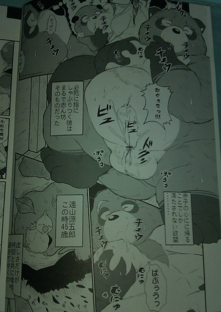 (C84) [MONOTRUST (Takotyu)] Genkotsu Yama no Tanuki-San - Page 3