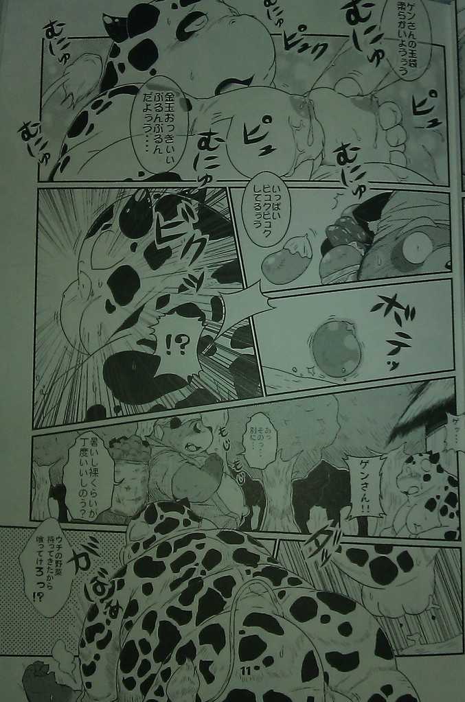 (C84) [MONOTRUST (Takotyu)] Genkotsu Yama no Tanuki-San - Page 10