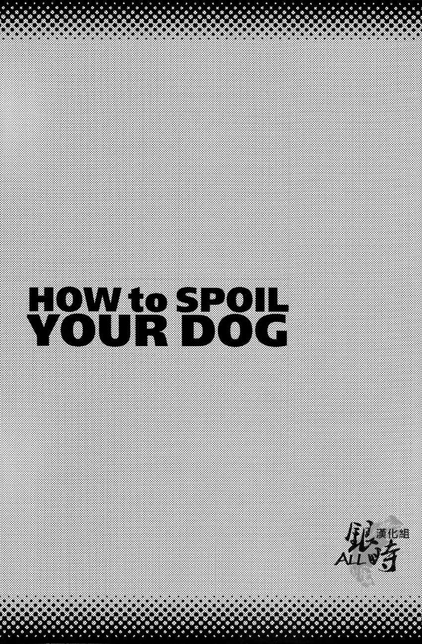 (HaruCC18) [3745HOUSE, tekkaG (MIkami Takeru, Haru)] HOW to SPOIL YOUR DOG (Gintama) [Chinese] [ALL銀時漢化組] - Page 4