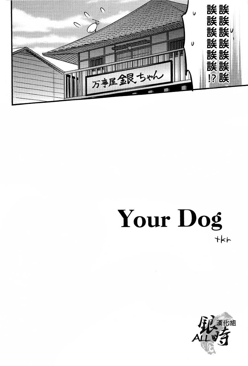 (HaruCC18) [3745HOUSE, tekkaG (MIkami Takeru, Haru)] HOW to SPOIL YOUR DOG (Gintama) [Chinese] [ALL銀時漢化組] - Page 7