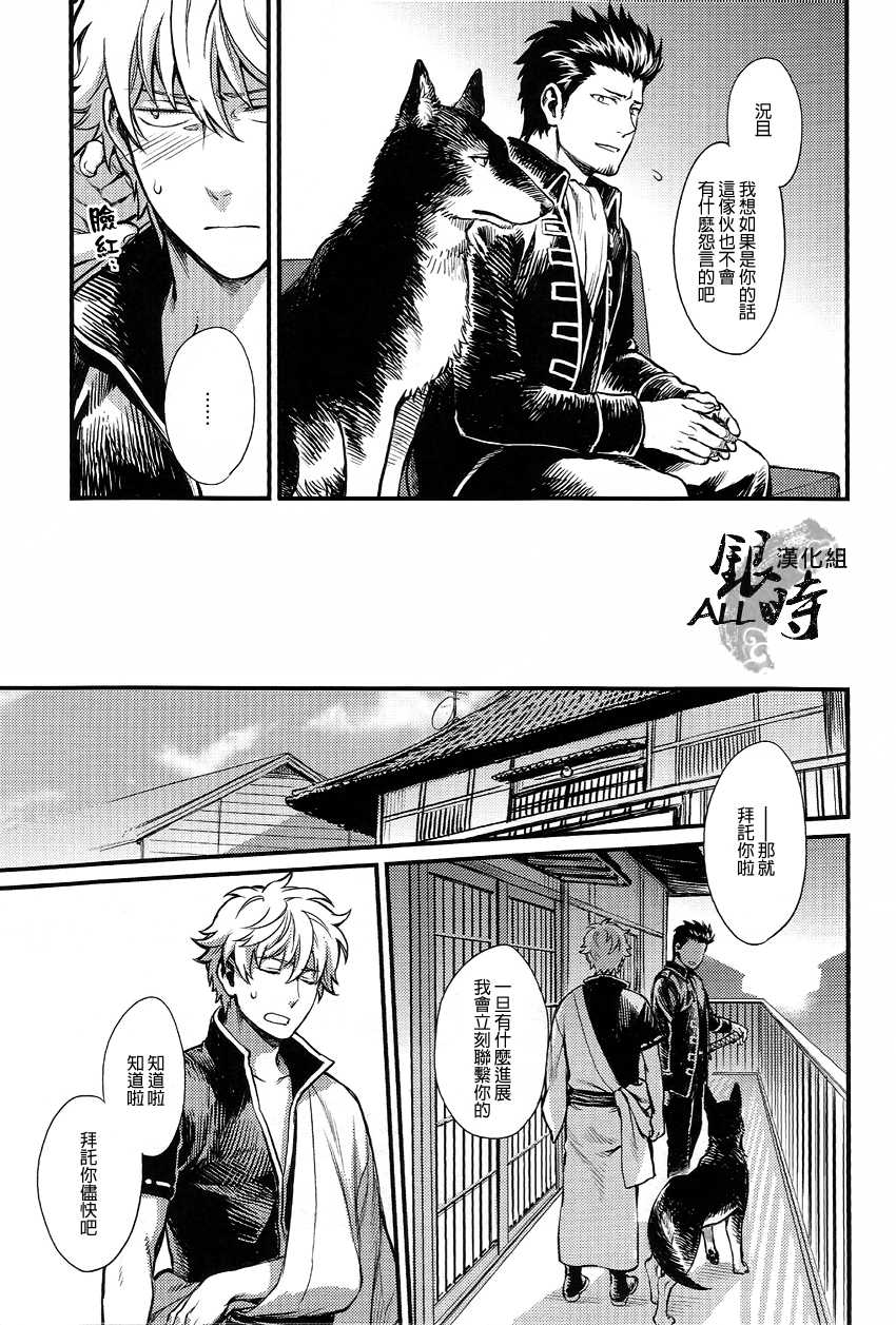 (HaruCC18) [3745HOUSE, tekkaG (MIkami Takeru, Haru)] HOW to SPOIL YOUR DOG (Gintama) [Chinese] [ALL銀時漢化組] - Page 10