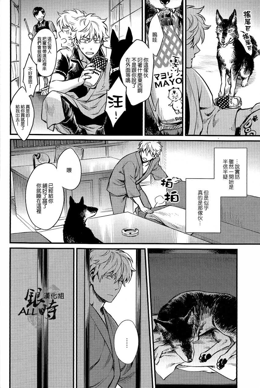 (HaruCC18) [3745HOUSE, tekkaG (MIkami Takeru, Haru)] HOW to SPOIL YOUR DOG (Gintama) [Chinese] [ALL銀時漢化組] - Page 13