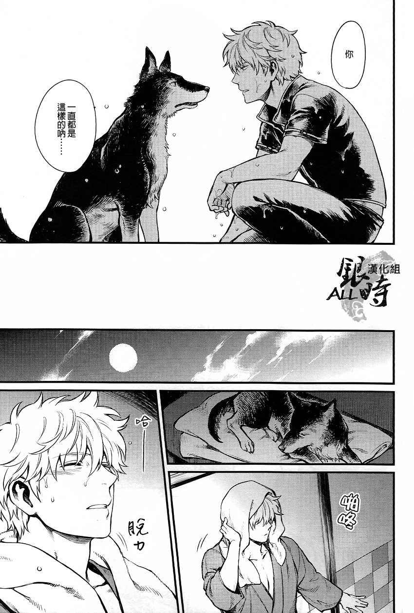 (HaruCC18) [3745HOUSE, tekkaG (MIkami Takeru, Haru)] HOW to SPOIL YOUR DOG (Gintama) [Chinese] [ALL銀時漢化組] - Page 20