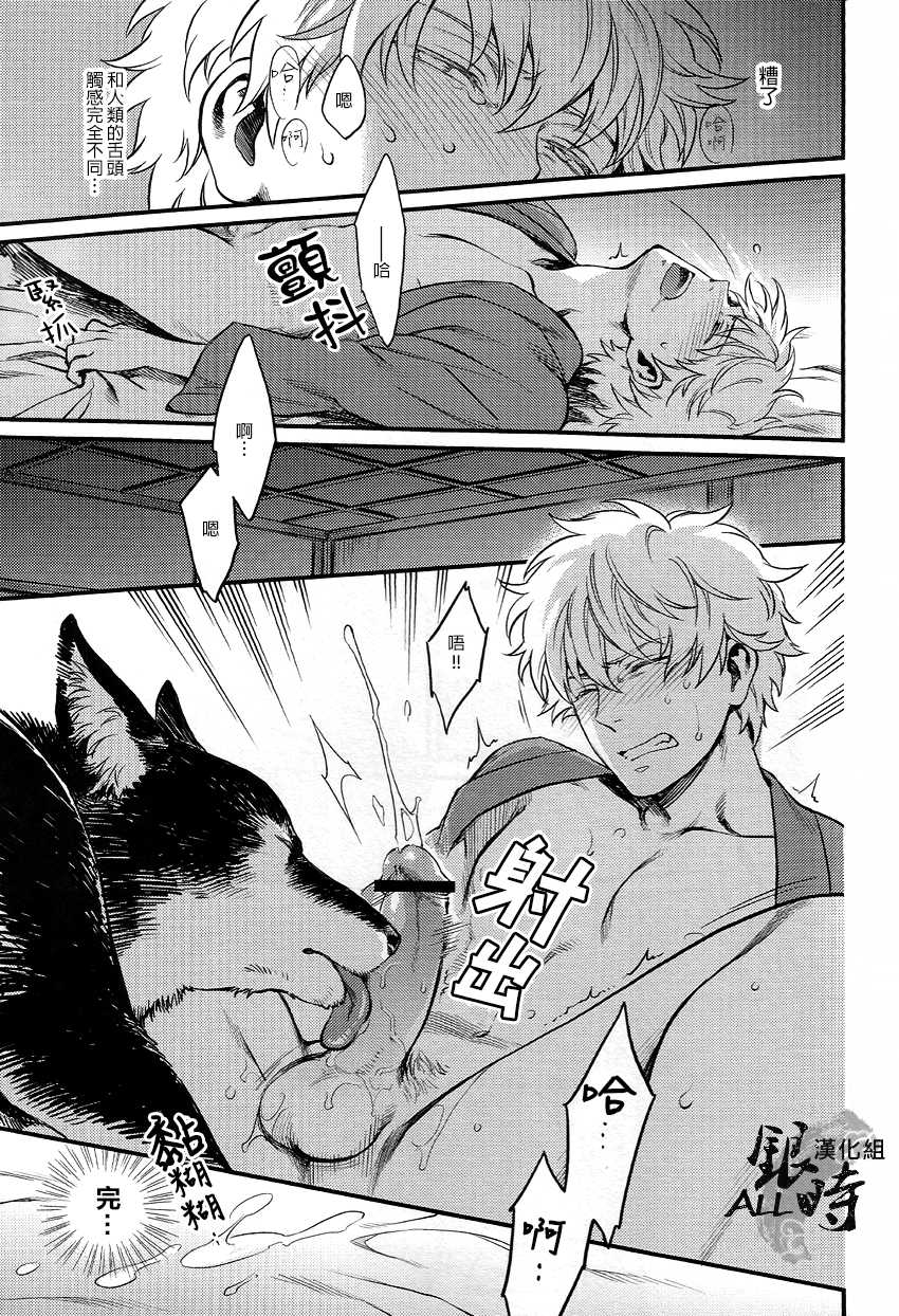 (HaruCC18) [3745HOUSE, tekkaG (MIkami Takeru, Haru)] HOW to SPOIL YOUR DOG (Gintama) [Chinese] [ALL銀時漢化組] - Page 26