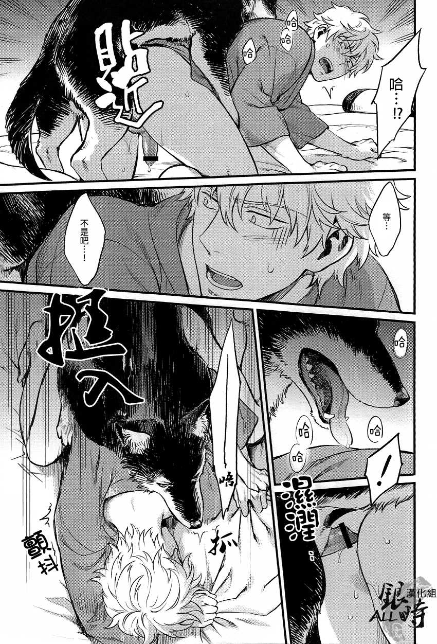 (HaruCC18) [3745HOUSE, tekkaG (MIkami Takeru, Haru)] HOW to SPOIL YOUR DOG (Gintama) [Chinese] [ALL銀時漢化組] - Page 28