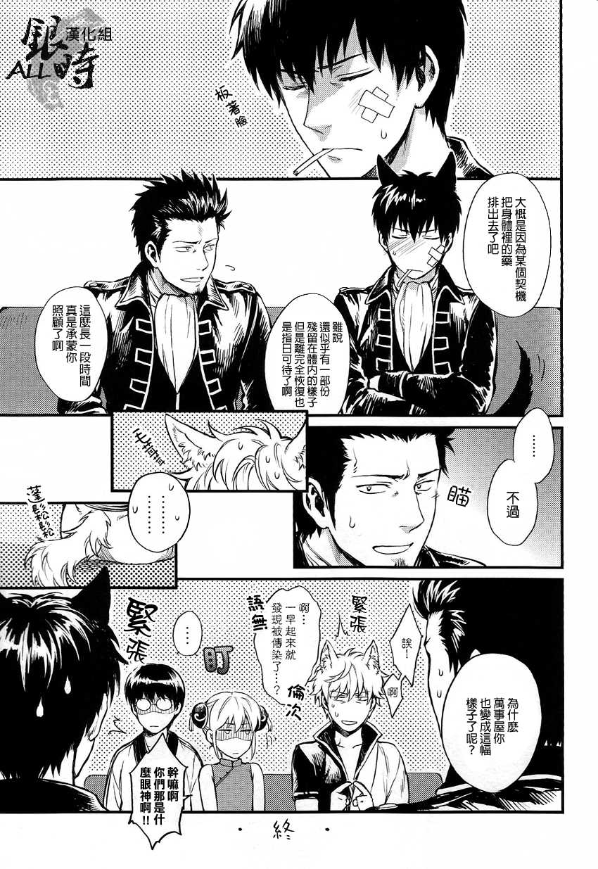 (HaruCC18) [3745HOUSE, tekkaG (MIkami Takeru, Haru)] HOW to SPOIL YOUR DOG (Gintama) [Chinese] [ALL銀時漢化組] - Page 38