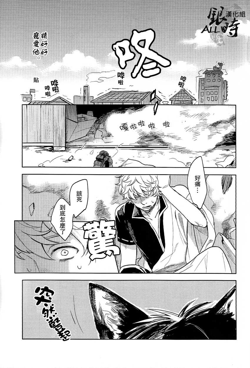 (HaruCC18) [3745HOUSE, tekkaG (MIkami Takeru, Haru)] HOW to SPOIL YOUR DOG (Gintama) [Chinese] [ALL銀時漢化組] - Page 40