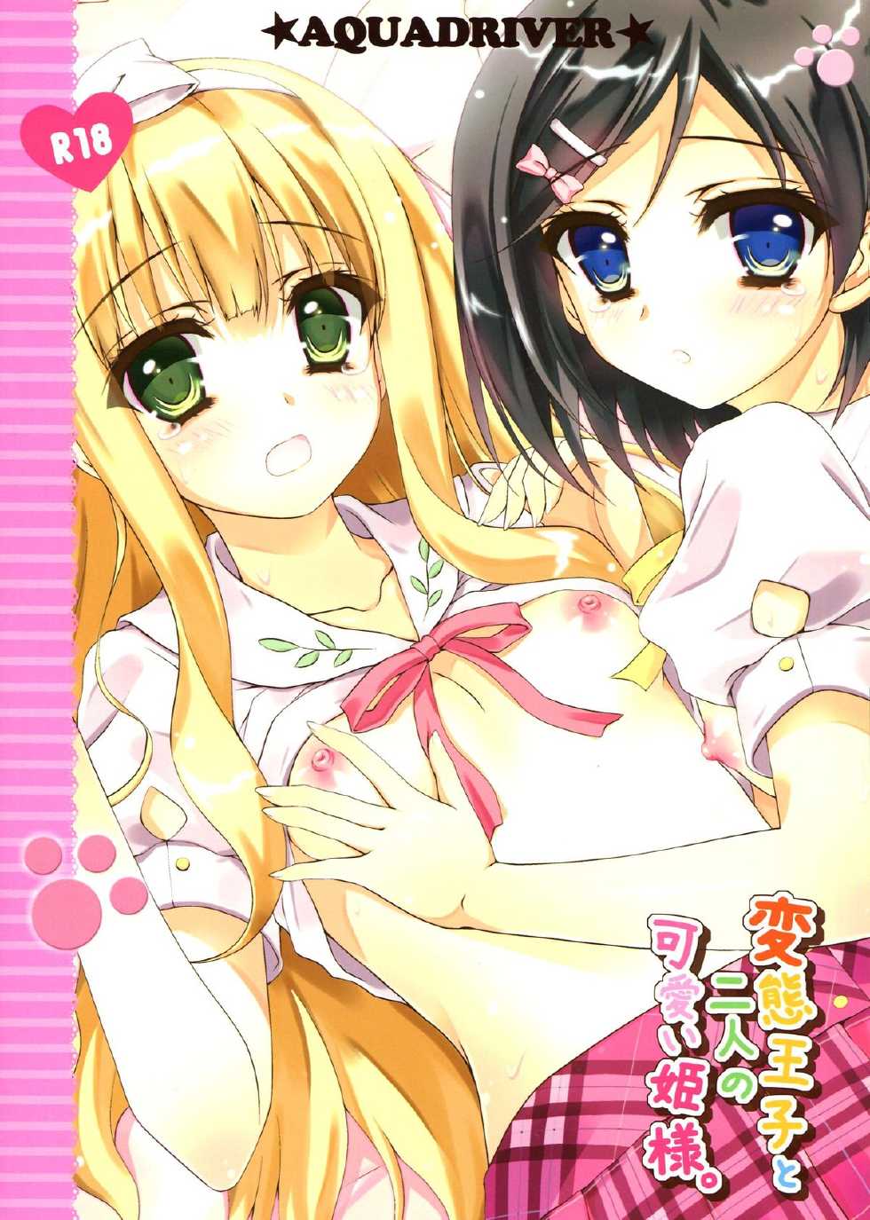 (C84) [Aquadriver (Aino Serin)] Hentai Ouji to Futari no Kawaii Hime-sama (Hentai Ouji to Warawanai Neko.) [Korean] [Team Dog Drip] - Page 2