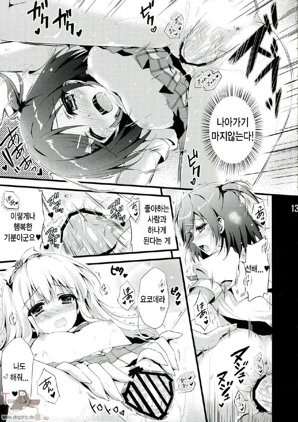 (C84) [Aquadriver (Aino Serin)] Hentai Ouji to Futari no Kawaii Hime-sama (Hentai Ouji to Warawanai Neko.) [Korean] [Team Dog Drip] - Page 13