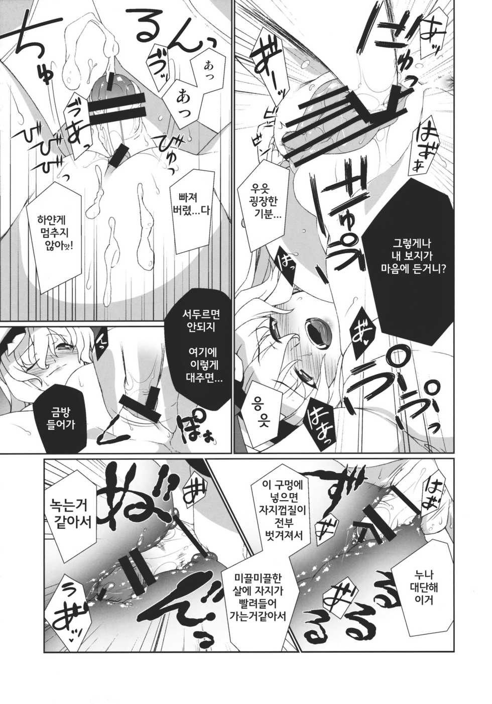 (Reitaisai 8) [TUKIBUTO (Hyouju Issei)] HI-Sneak at night (Touhou Project) [Korean] - Page 11