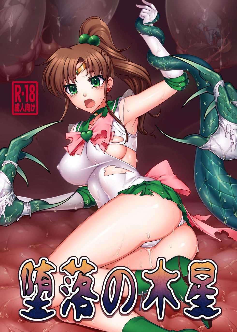 [Daraku Jiko Chousa Iinkai (Sch-mit)] Daraku no Mokusei (Bishoujo Senshi Sailor Moon) [Digital] - Page 1