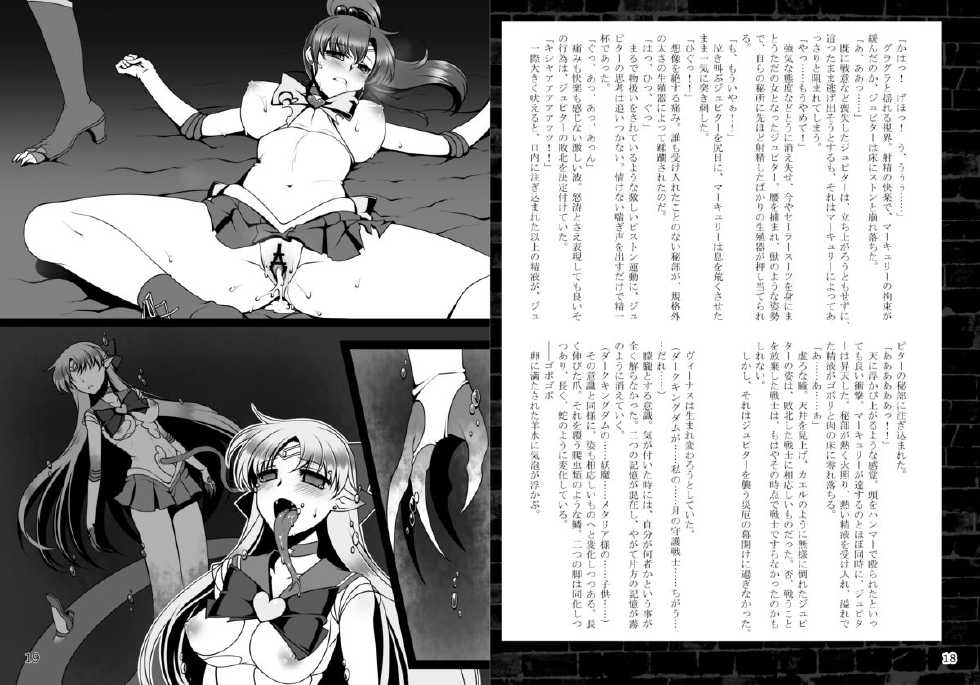 [Daraku Jiko Chousa Iinkai (Sch-mit)] Daraku no Mokusei (Bishoujo Senshi Sailor Moon) [Digital] - Page 10