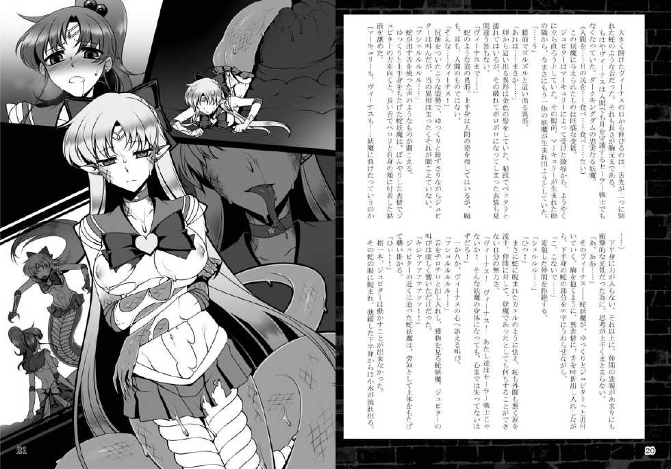 [Daraku Jiko Chousa Iinkai (Sch-mit)] Daraku no Mokusei (Bishoujo Senshi Sailor Moon) [Digital] - Page 11