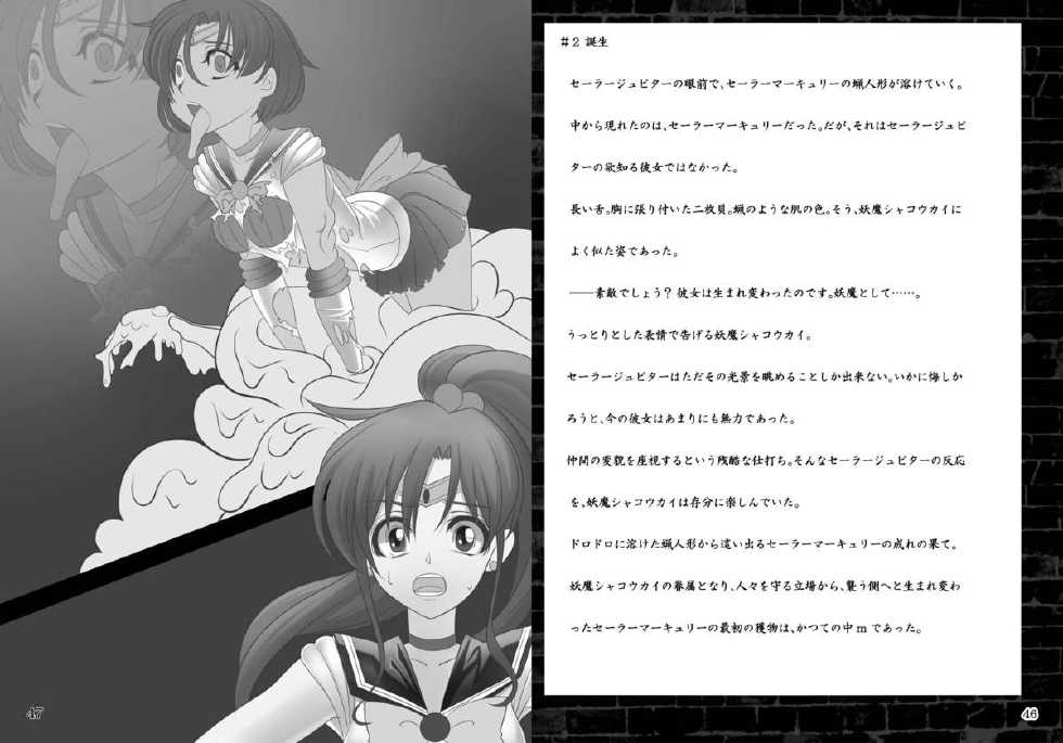 [Daraku Jiko Chousa Iinkai (Sch-mit)] Daraku no Mokusei (Bishoujo Senshi Sailor Moon) [Digital] - Page 24