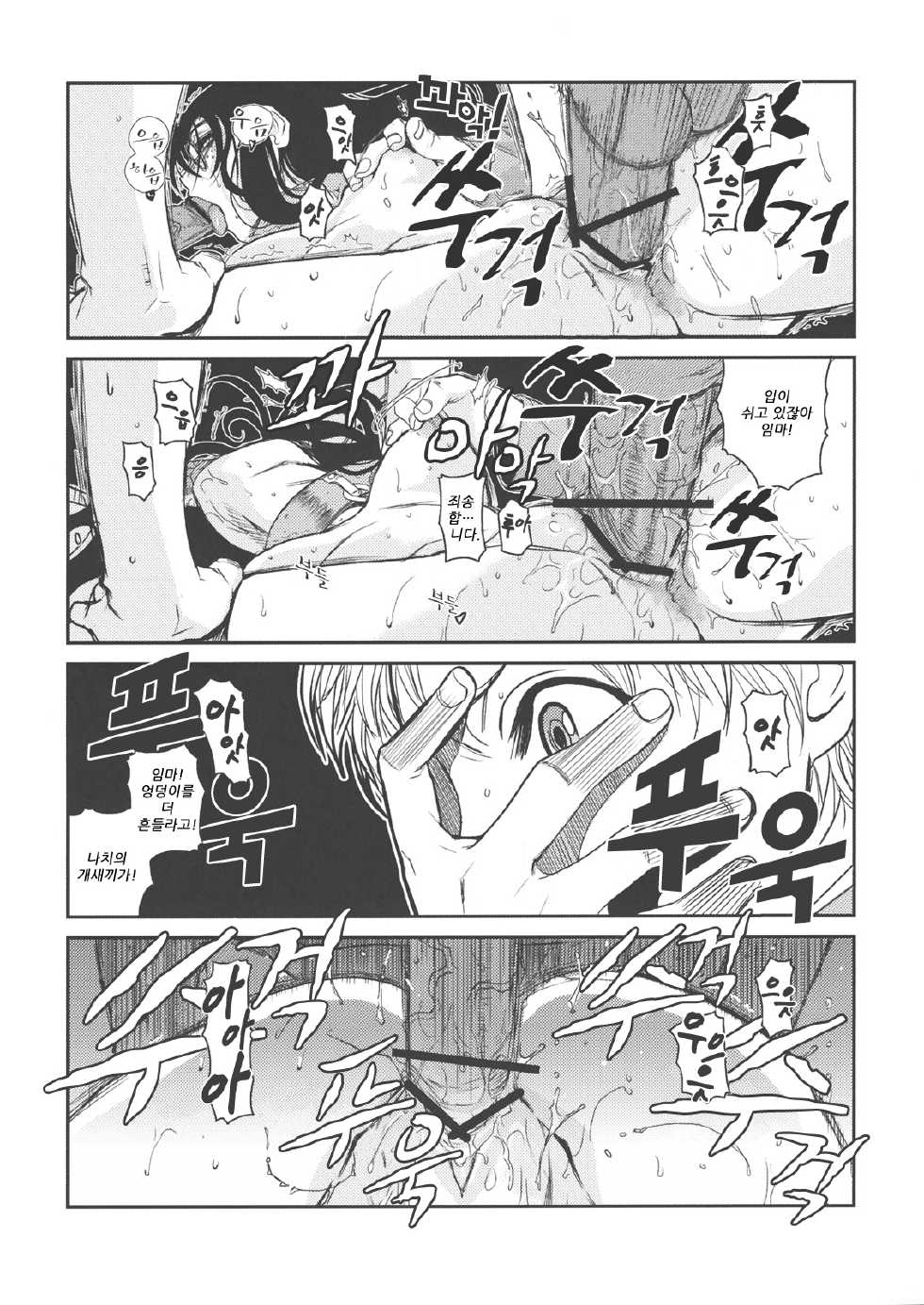 (C78) [TEX-MEX (Red Bear)] Der Entartete Kunst (Hellsing) [Korean] - Page 13