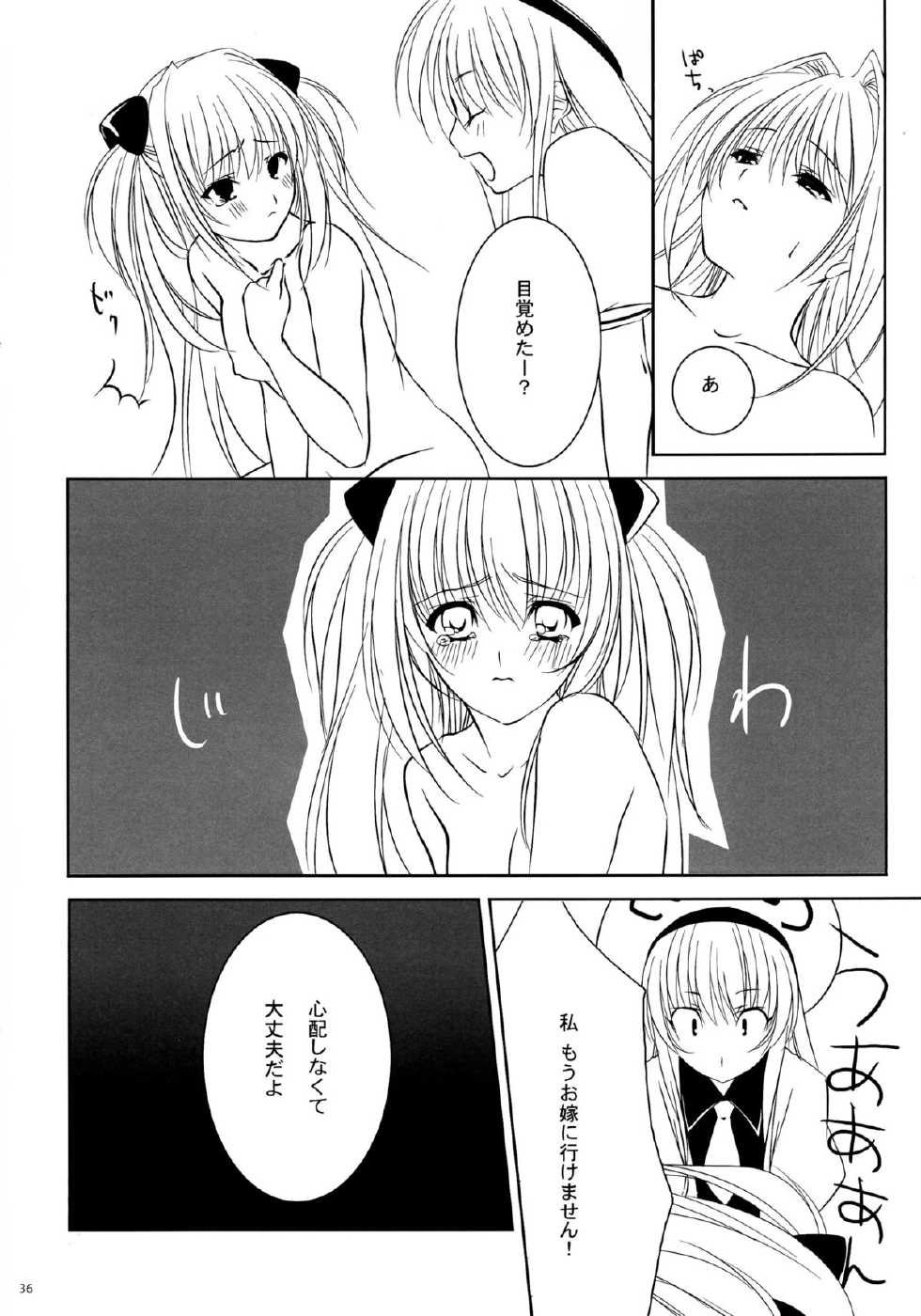(C72) [CROSS HEARTS, ACID-BASE (Ayase Hazuki, Mutsuki Chihiro)] Pretty DEVIL (To LOVE-Ru) - Page 36