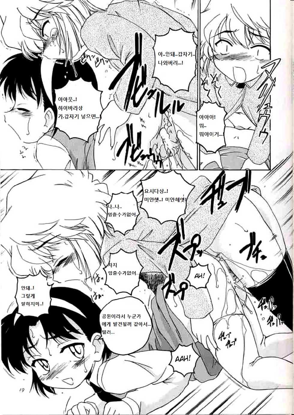 (C63) [Joshinzoku (Wanyanaguda)] Manga Sangyou Haikibutsu 06 (Detective Conan) [Korean] [G and Y] - Page 18