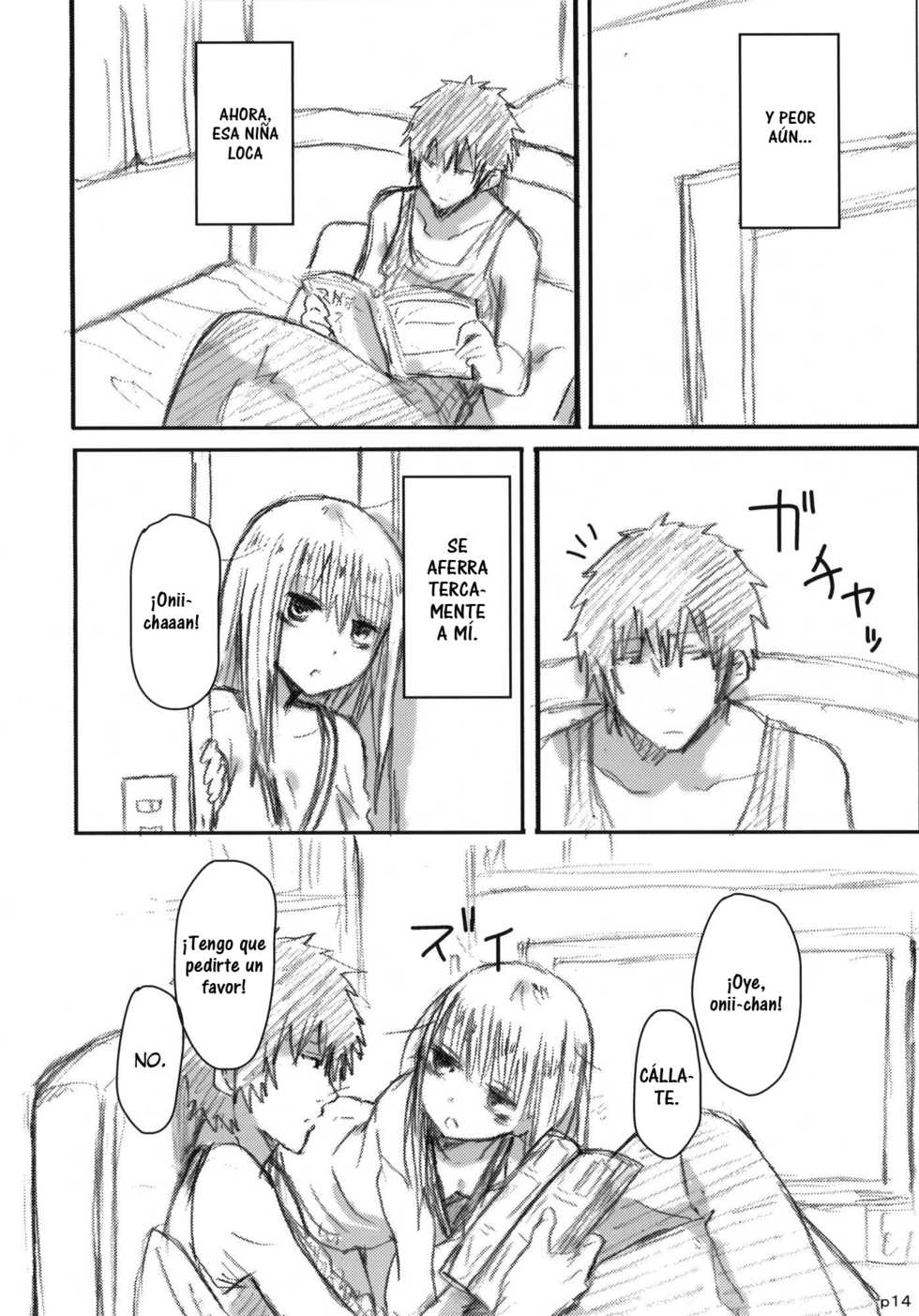 (COMITIA101) [Seibunkaken (Yanagida Fumita)] Gotsugou Soukan [Spanish] =SDnF= - Page 16