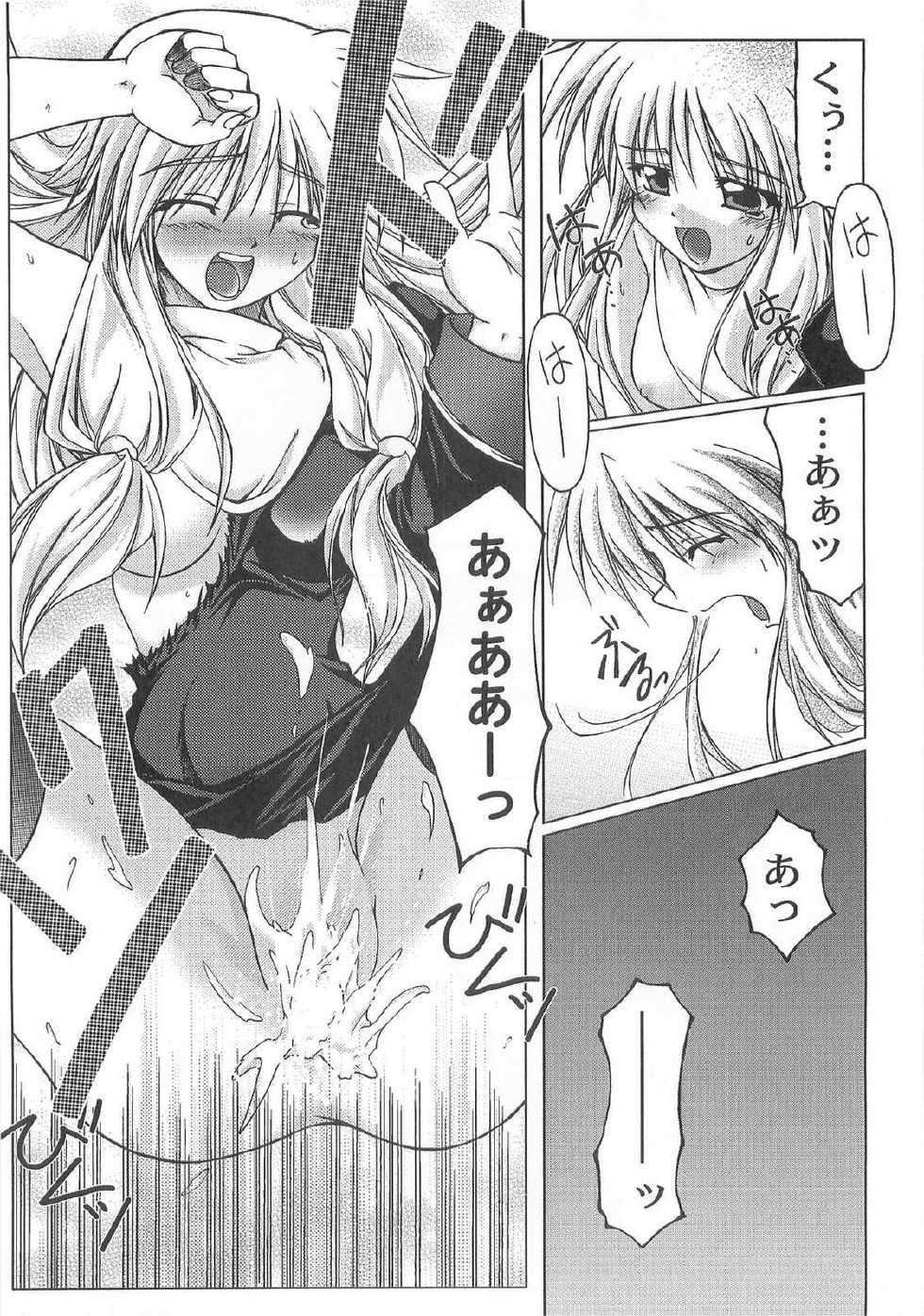 (C67) [Komedokoro (Yonekura Kihiro)] Holy Days (Ragnarok Online) - Page 25