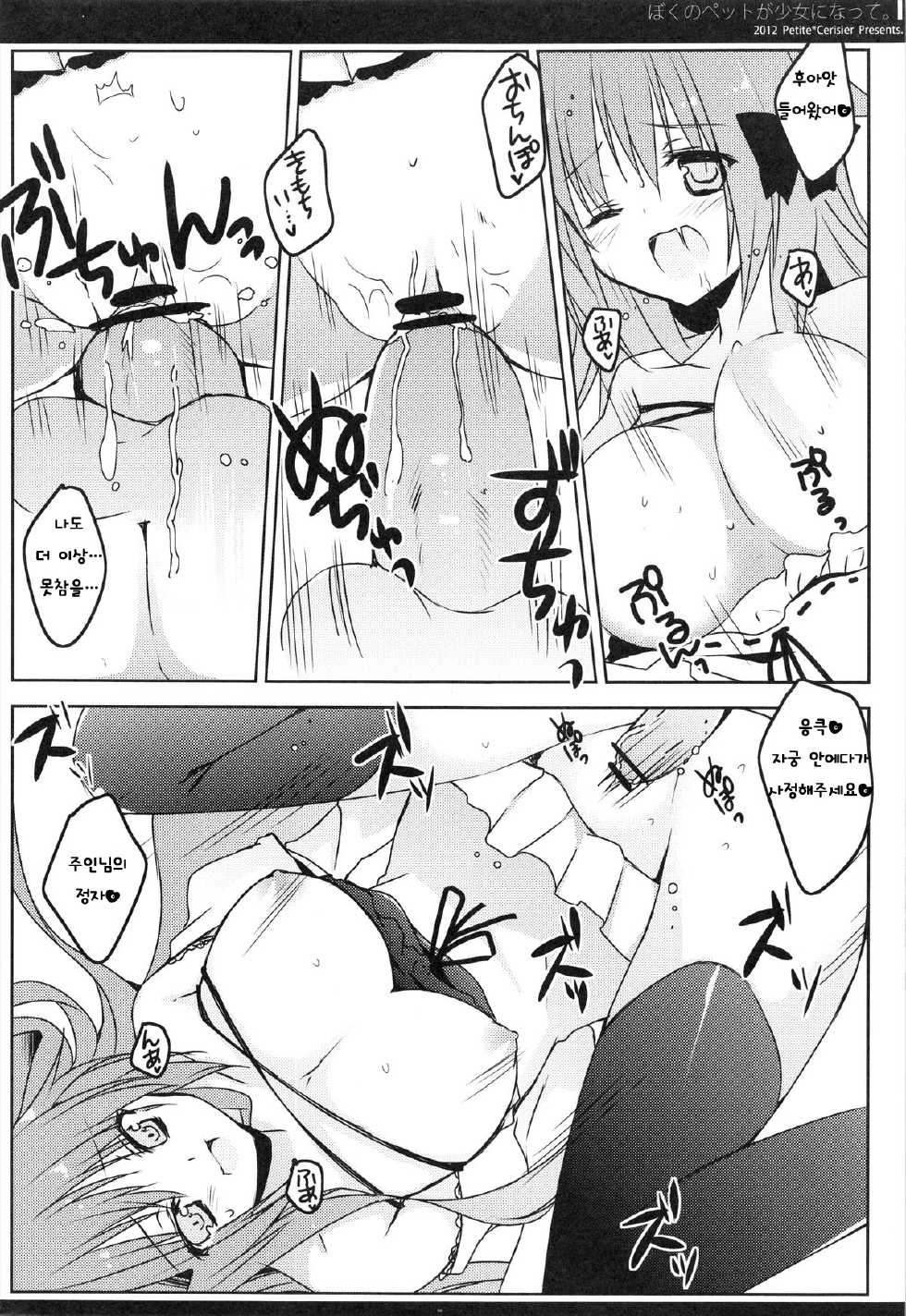 (Mimiket 26) [Petite＊Cerisier (Sakura Hanpen)] Boku no Pet ga Shojo ni natte. [Korean] [완벽한 사람] - Page 10