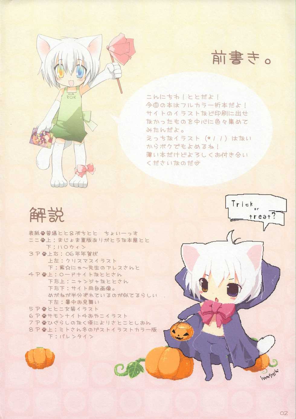 [Galvas] Colorful Nyanko Chotto Dake Dragon - Page 2