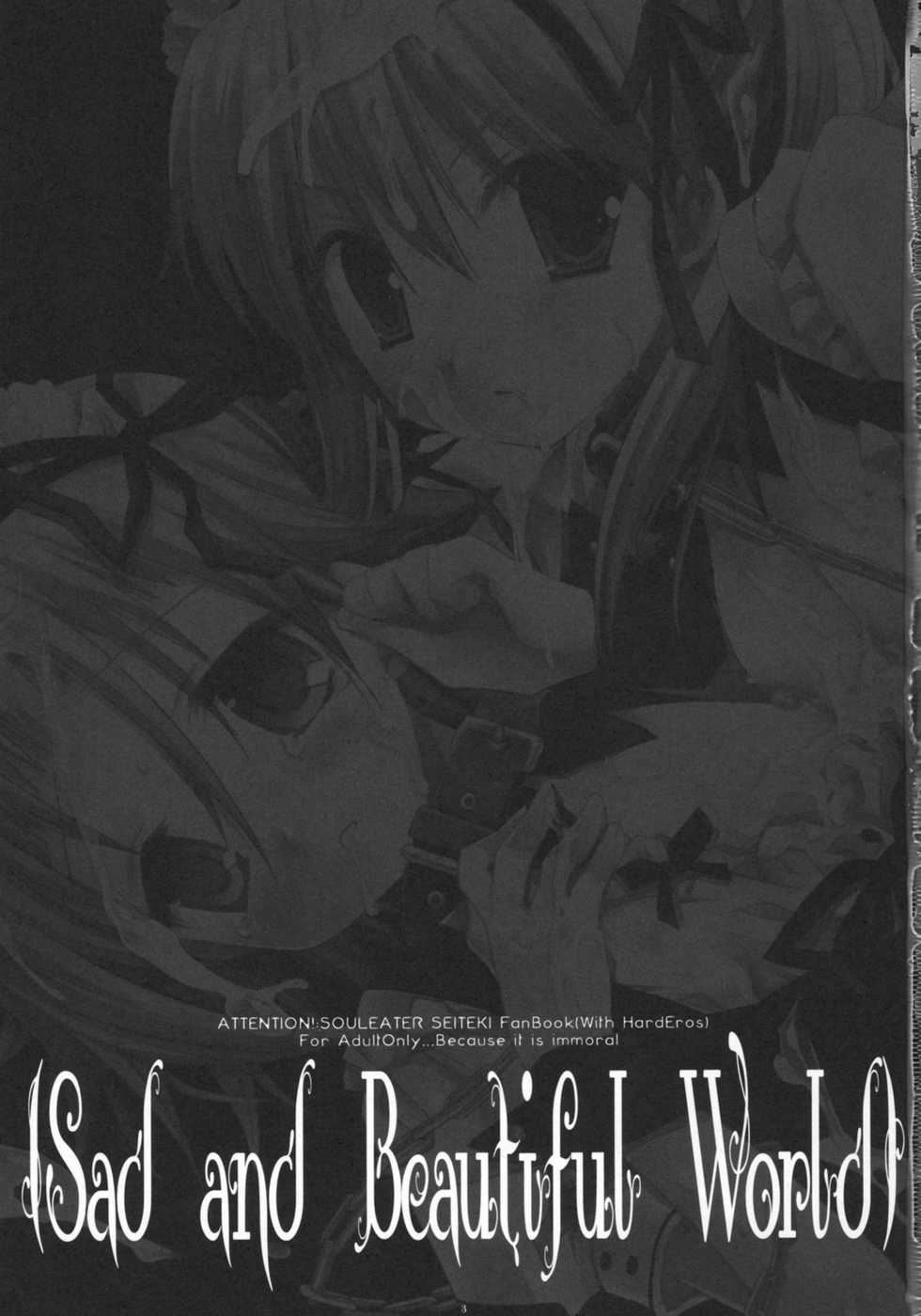 (CosCafe21) [CHRONOLOG, D.N.A.Lab. (Sakurazawa Izumi, Miyasu Risa)] Sad And Beautiful World (Soul Eater) - Page 2