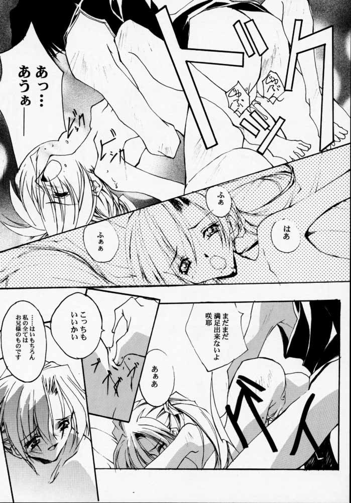 (CR28) [RYU-SEKI-DO (Nagare Hyo-go)] Geschwister (Sister Princess) - Page 19