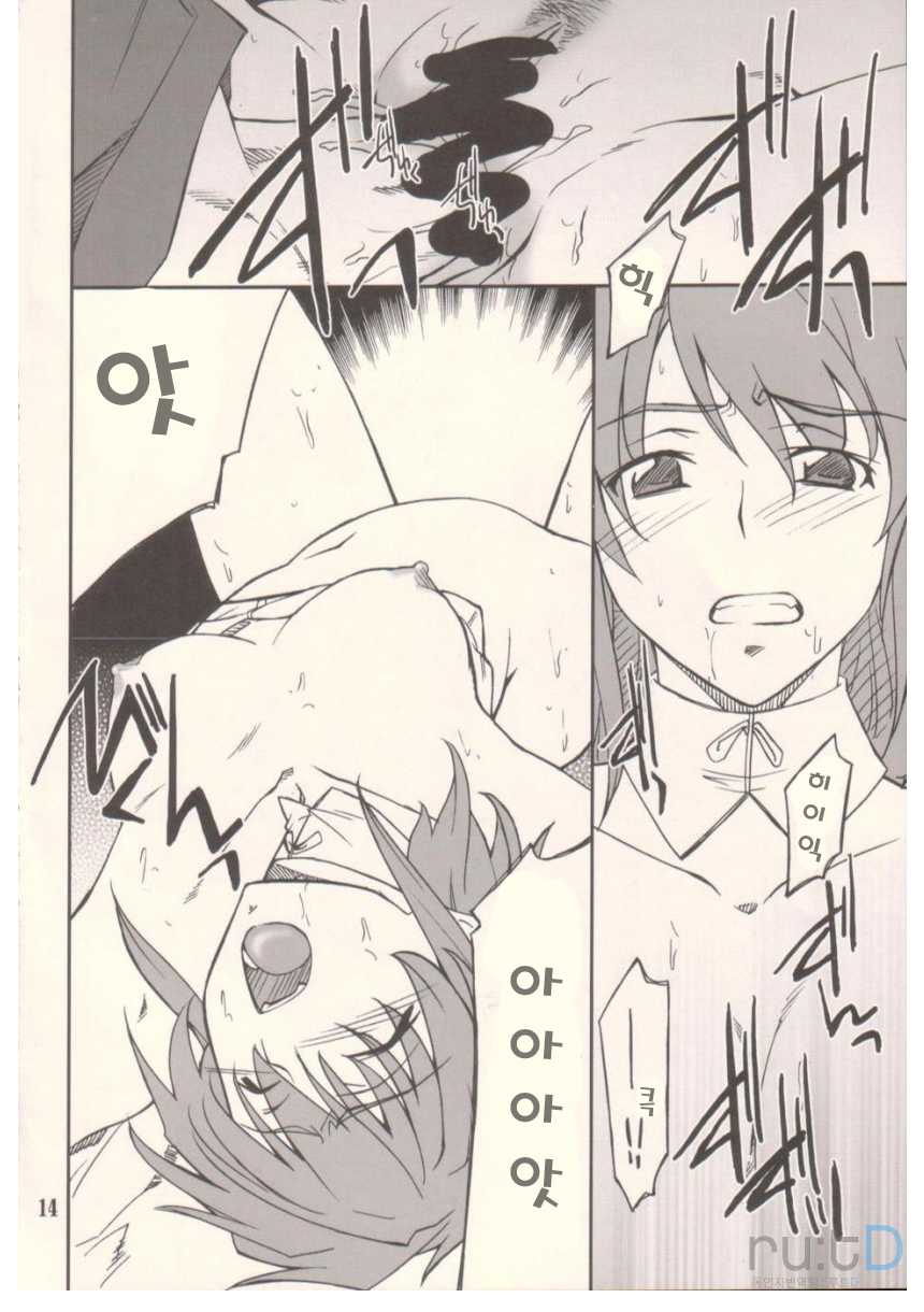 (SC37) [P-FOREST (Hozumi Takashi)] INTERMISSION_if code_09:IBIS (Super Robot Wars OG: Original Generations) [Korean] [team ru:tD] - Page 13