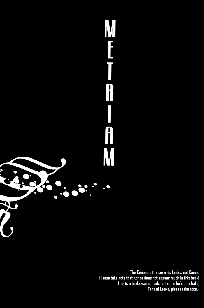 [INUGATA SUMMIT (Fujino)] Metriam (Lamento -Beyond the Void-) [English] [Blissful Sin] - Page 3