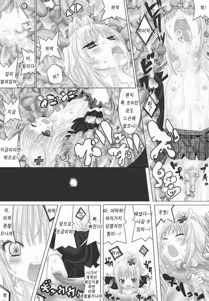 [NMadchen (Rito)] Nuru Nuru Na Rujan (Shugo Chara) [Korean] [OSSE] - Page 23