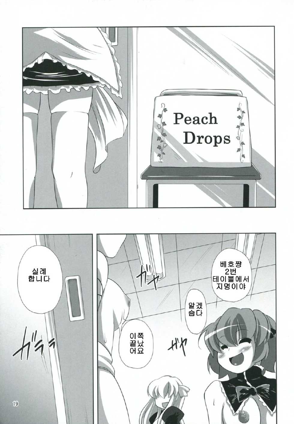 (C75) [WaToSaTo (Sugiura Sen)] Akane Peach (Pani Poni Dash) [Korean] [LIMITE] - Page 17