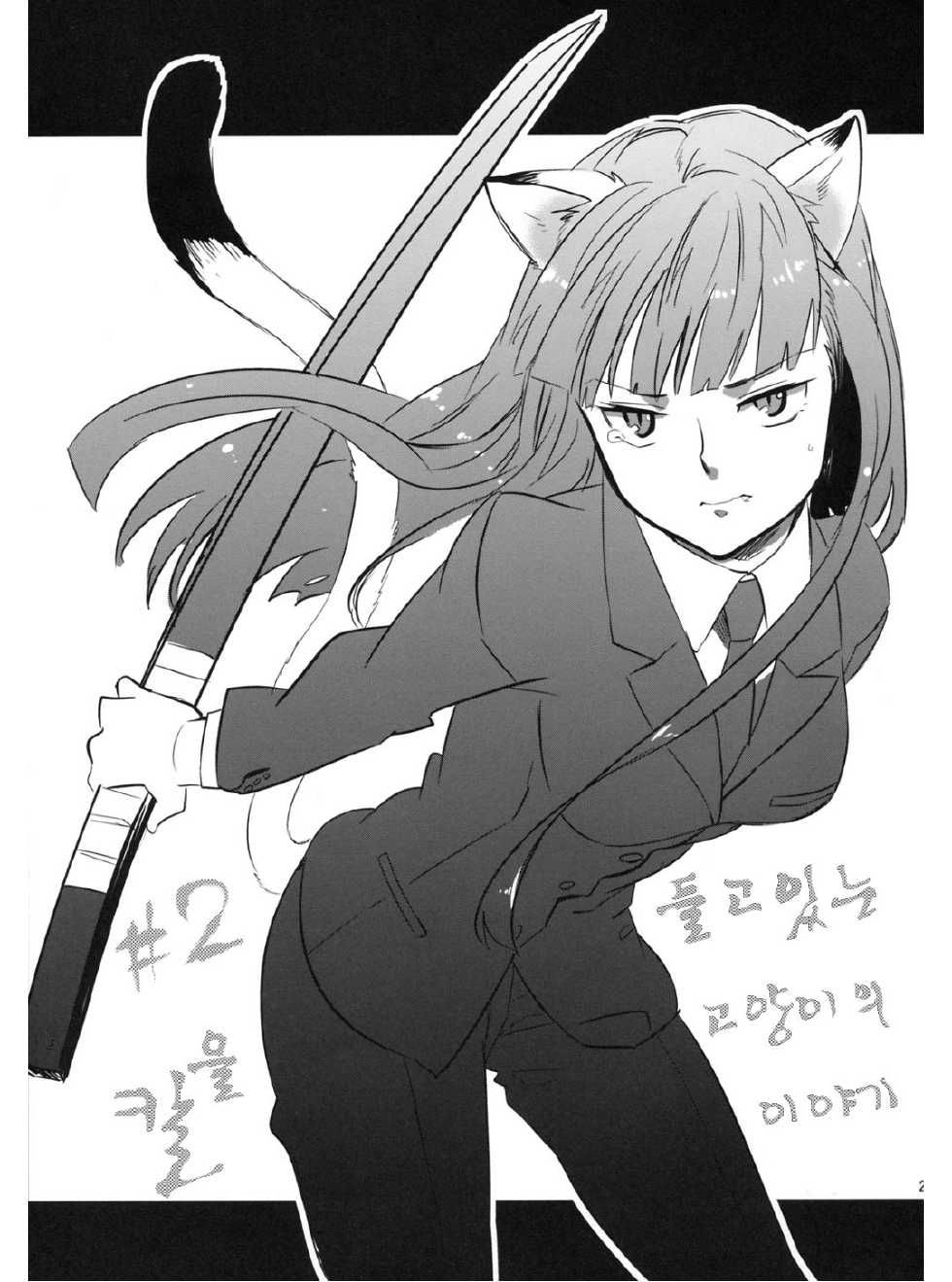 (C78) [goo-paaa (Ocha)] picoler (DARKER THAN BLACK) [Korean] - Page 26