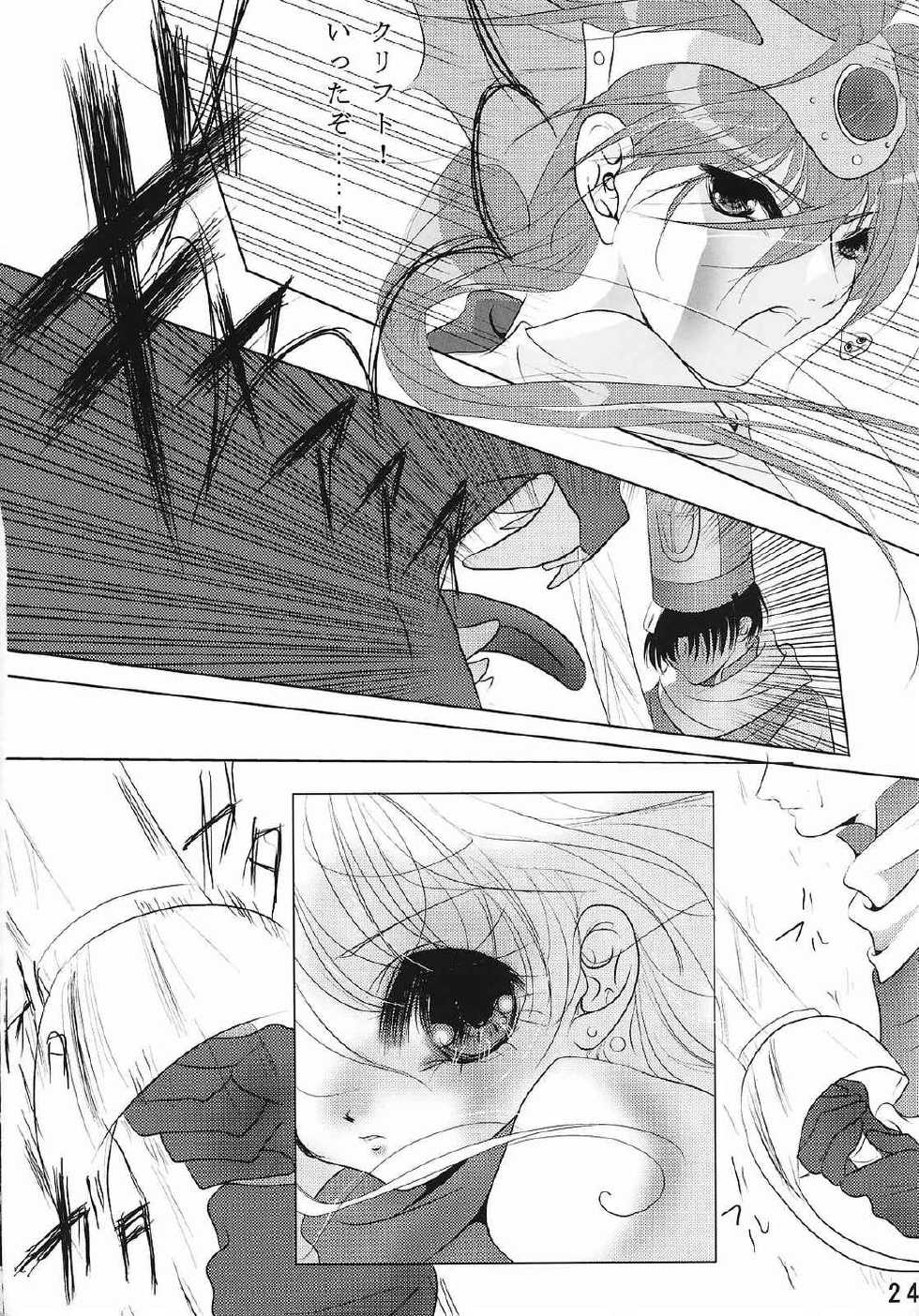 (C65) [OMATSURI DRAGON (Kawamura Mao, Sakurazawa Yukino)] eroero Vol.9 (Dragon Quest IV) - Page 23