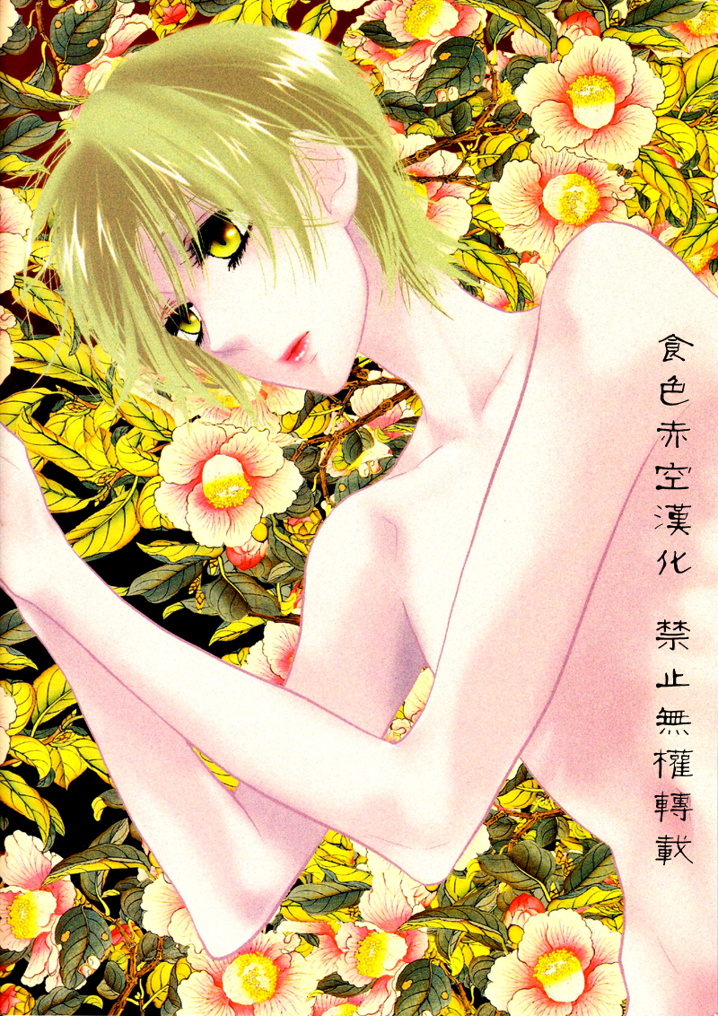 [NmO (Various)] Natsume Seikou Chou (Natsume's Book of Friends) [Chinese] [食色赤空汉化] - Page 28