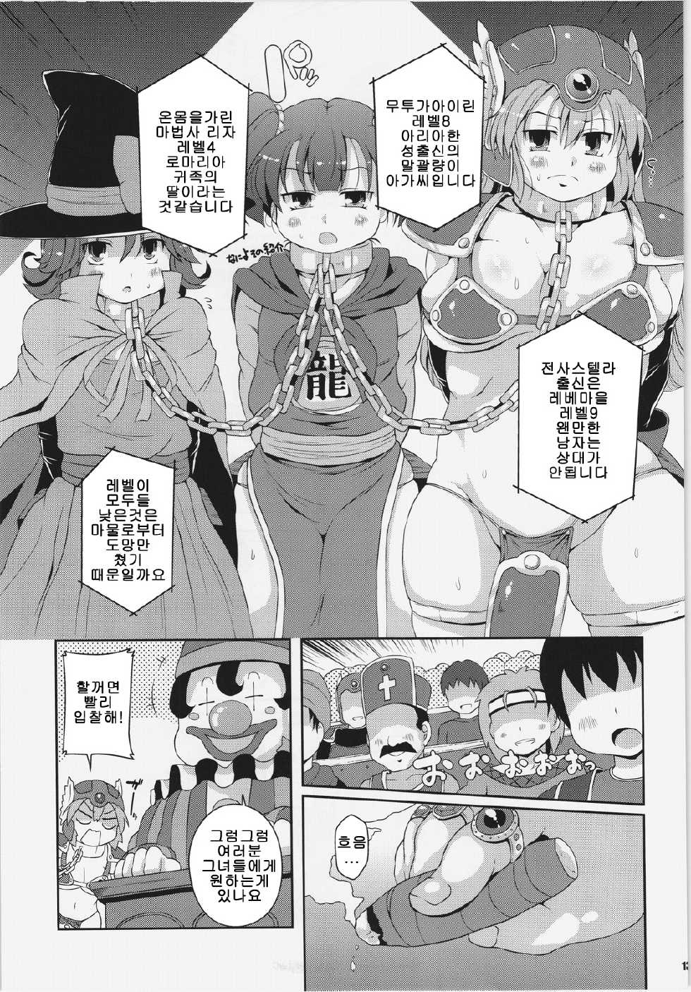 (C83) [Watosato (Sugiura Sen)] Assalam Yokubou no Tsuki (Dragon Quest III) [Korean] [LIMITE] - Page 13