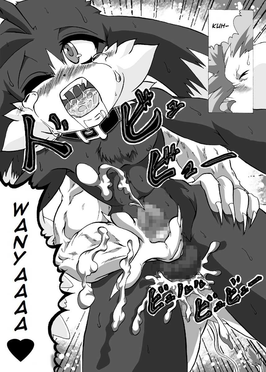 [Hanatama (Shaolin Bones)] Boku ga Iru no wa Kimi ga Iru kara Arigatou Kokoro kara | I Am Here Because You Are Here Thank You From The Bottom Of My Heart (Klonoa) [English] [Phantomile G] [Digital] - Page 14