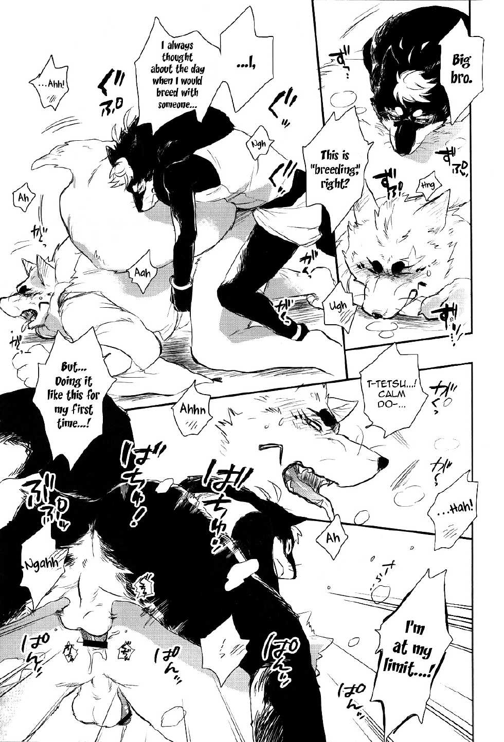 (C84) [Hallucigenia (Kamidou Haruki)] Ginsetsu | Silver Snow (Gingitsune) [English] [Nanajana] - Page 18