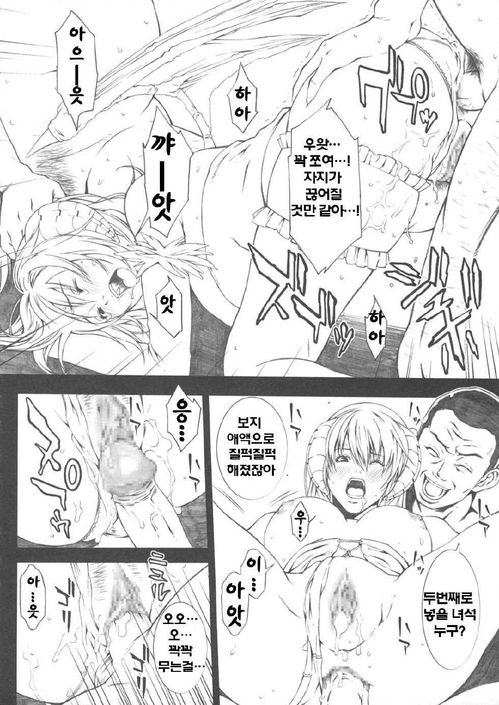 (C69) [Minshuku Inarimushi (Syuuen)] Chichiranbu Vol. 03 | 가슴난무 Vol. 03 (Ragnarok Online) [Korean] [Project H] - Page 9