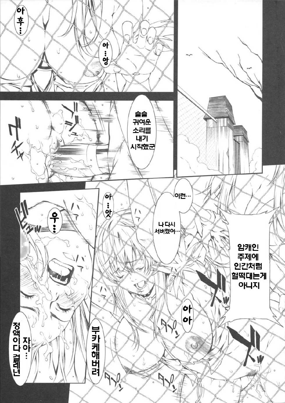(C69) [Minshuku Inarimushi (Syuuen)] Chichiranbu Vol. 03 | 가슴난무 Vol. 03 (Ragnarok Online) [Korean] [Project H] - Page 16