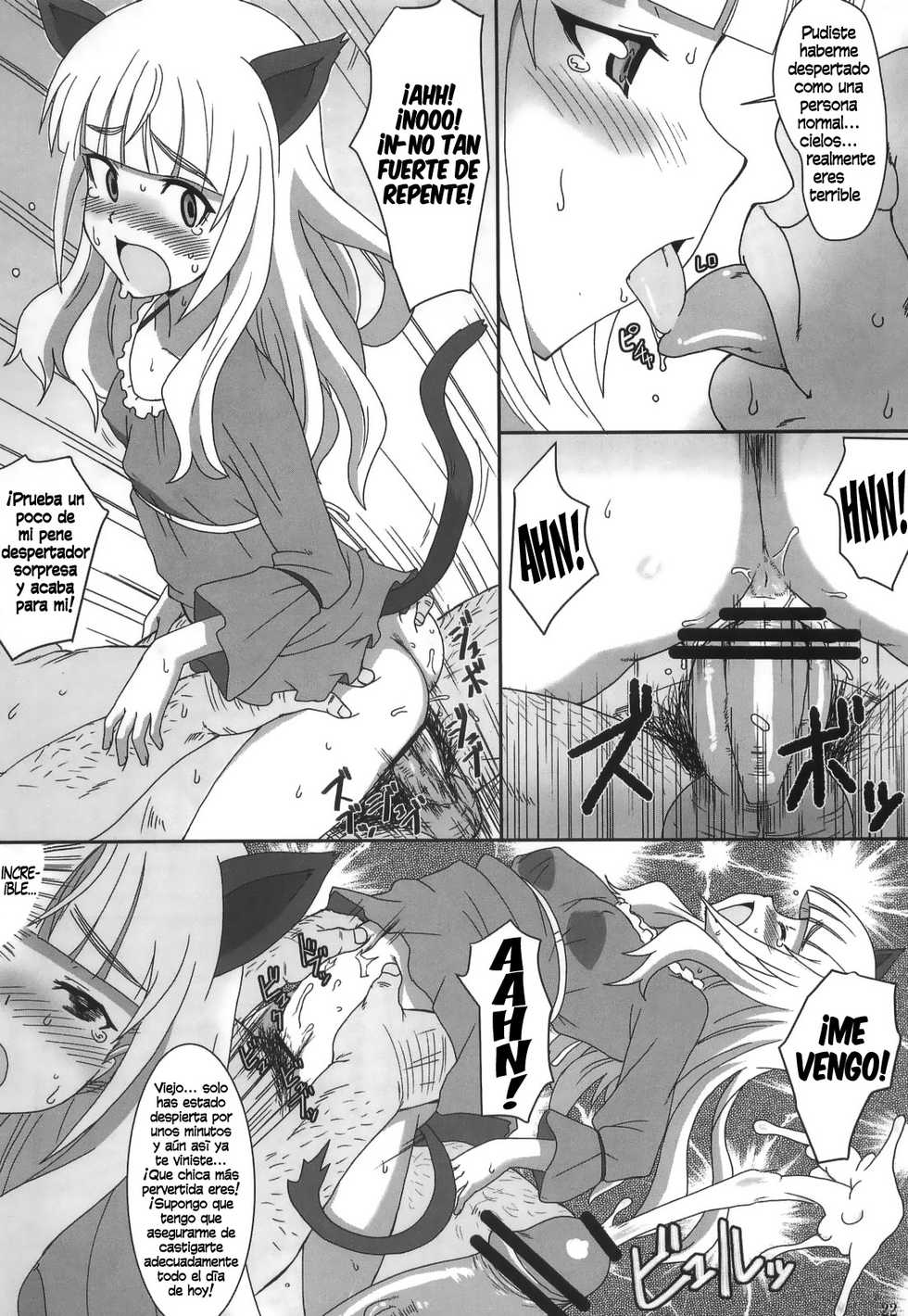 (C84) [Dashigara 100% (Minpei Ichigo)] Peri Inu (Strike Witches) [Spanish] [InF] - Page 22