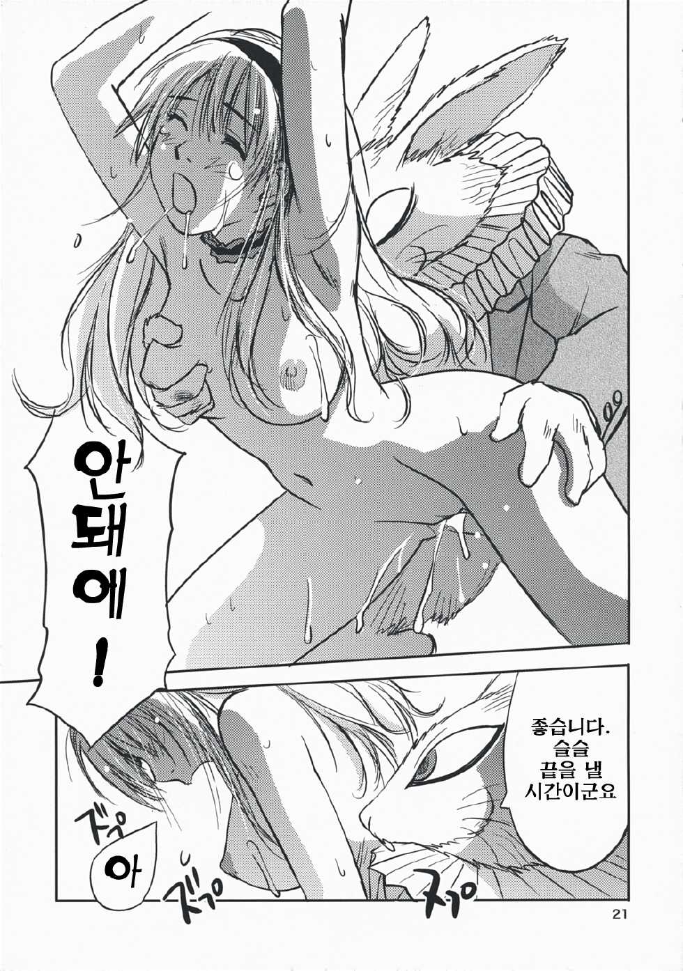 (C74) [RACK&PINION (Iogi Juichi)] Fushigi no Kuni no Alice | 이상한 나라의 앨리스 (Alice in Wonderland) [Korean] [팀☆면갤] - Page 20