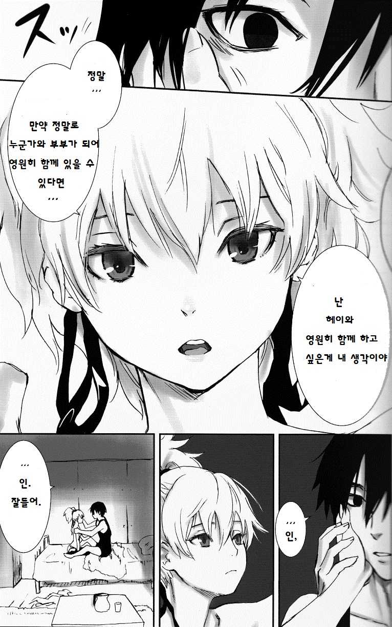 (C77) [Ajisaidenden (Kawakami Rokkaku, Takanashi Rei)] NOCTURNE -FOR TWO LOVERS- (Darker than Black: The Black Contractor) [Korean] - Page 15