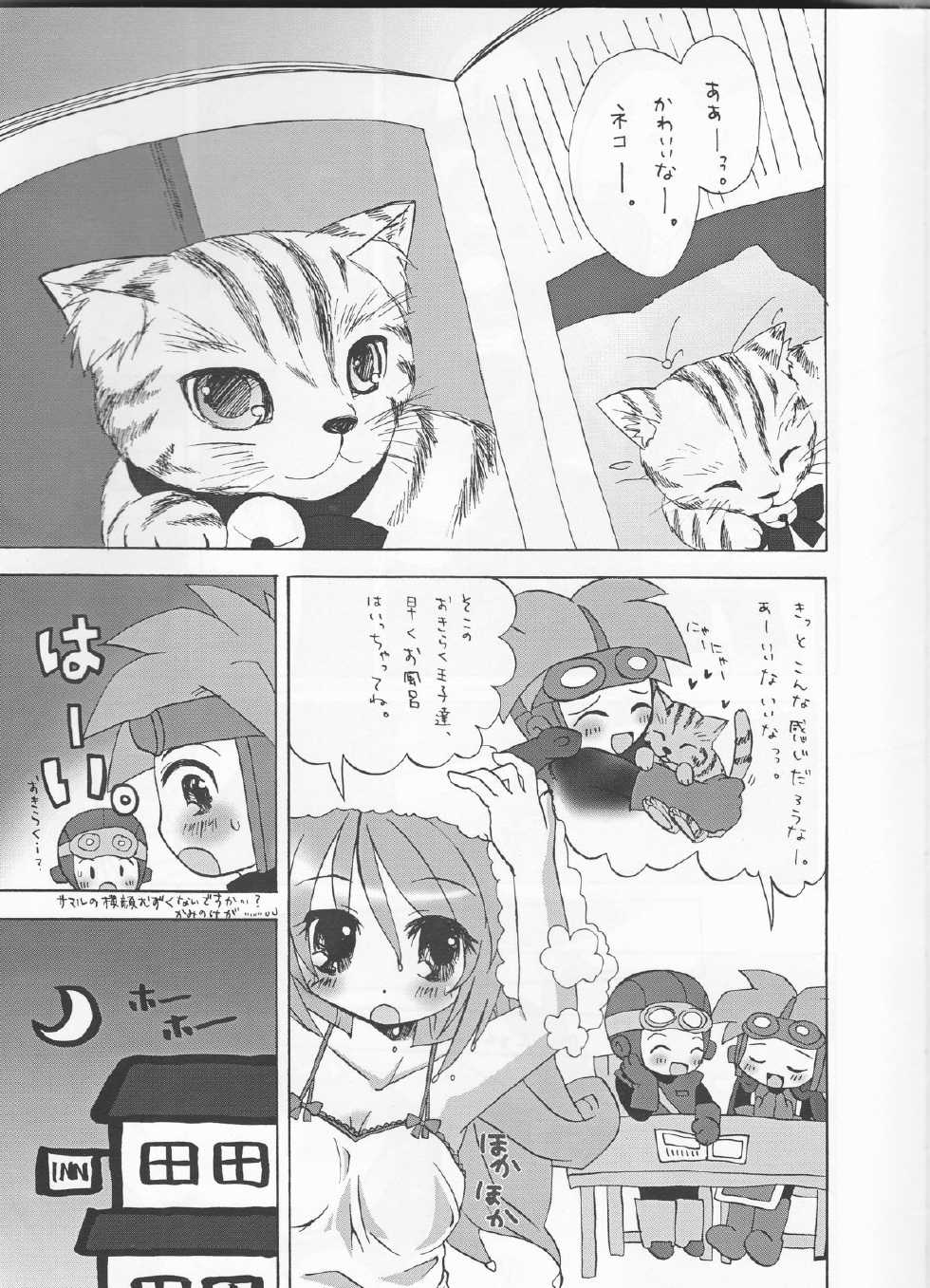 (SC30) [twinkle hearts (Miromiro Mumu)] Neko Moon Premium (Dragon Quest II) - Page 6