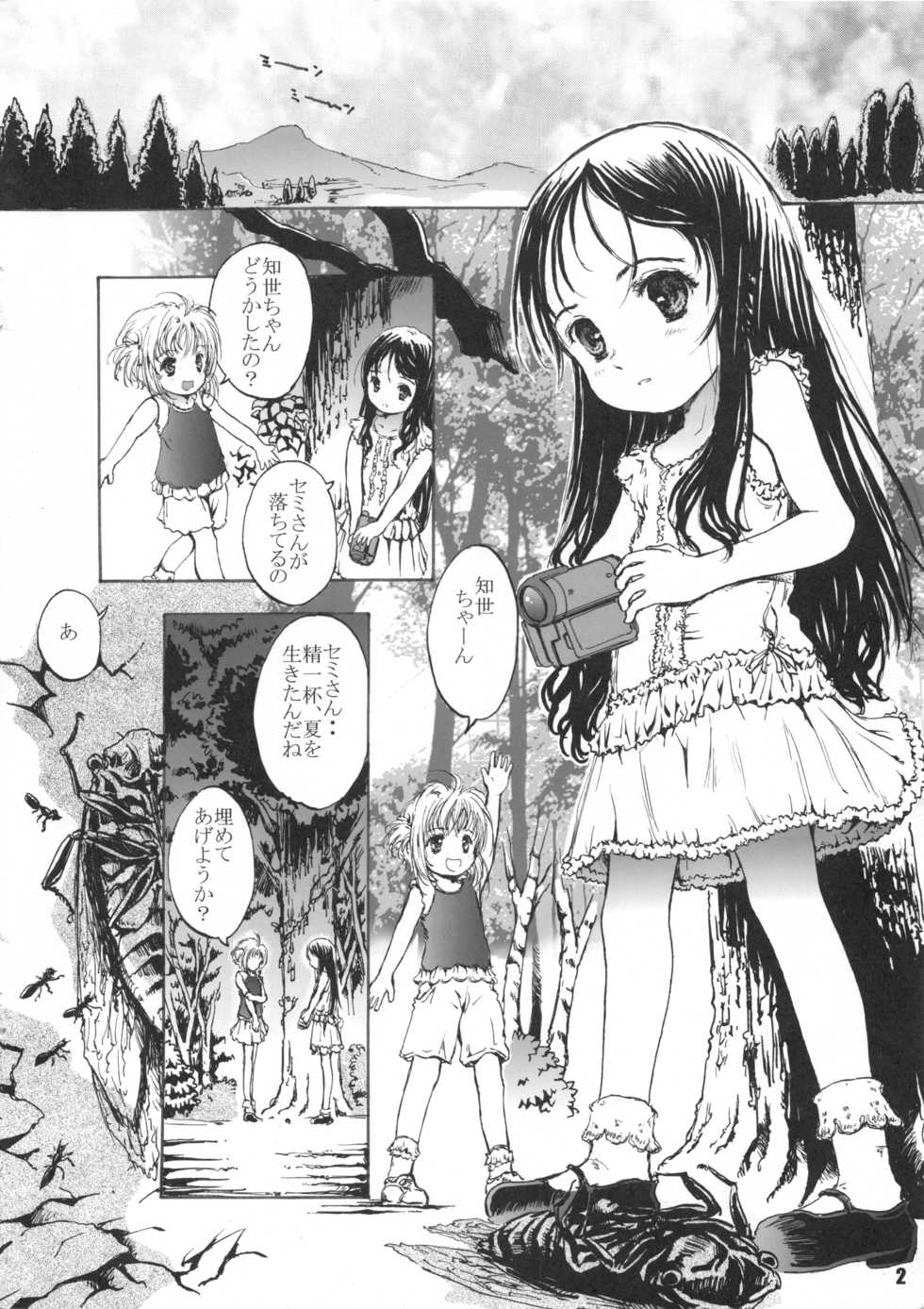 (SC29) [Shiawase Manjuu (Shiawase 1500)] Shiawase Delaware (Card Captor Sakura) - Page 3