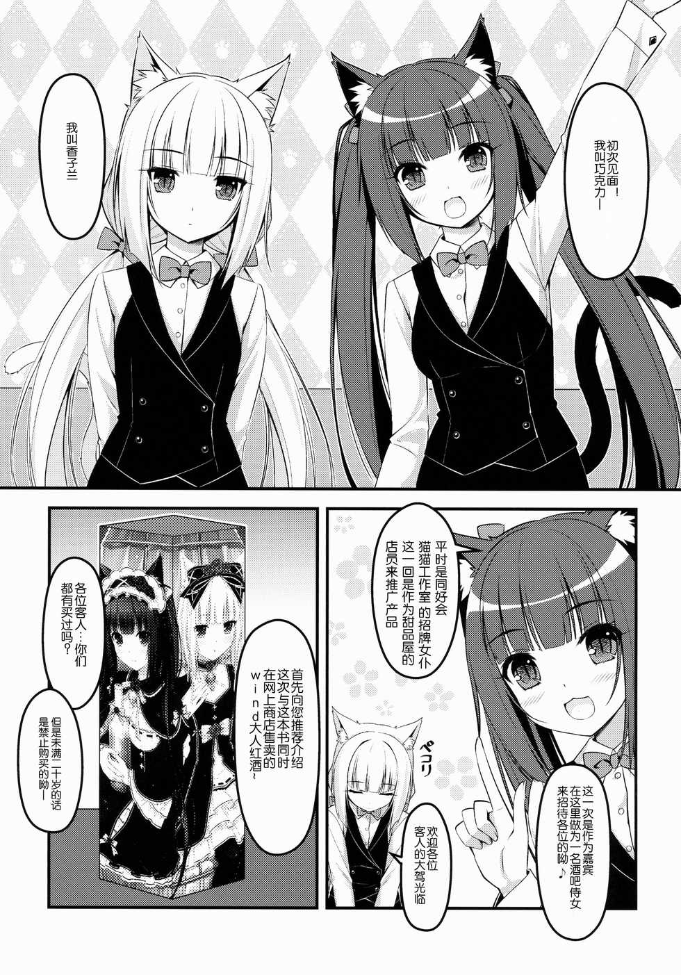 [NEKO WORKs (Sayori)] Wind No cocktail Kouza 2 ~Valentine Ver~ [Chinese] [脸肿汉化组] - Page 5