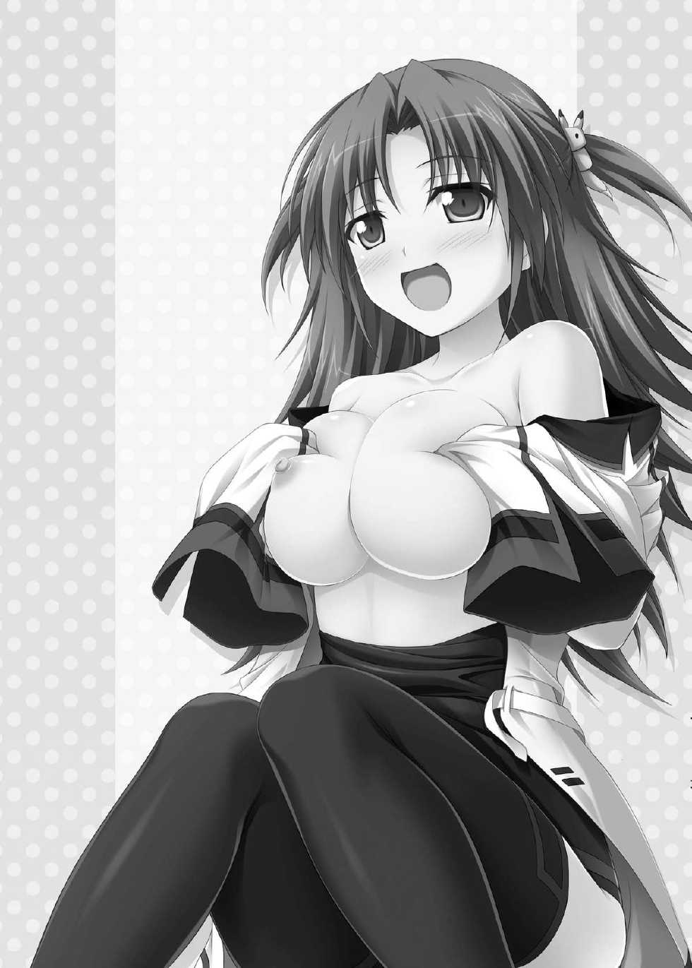 [KOJI2 (Tsuda Akira)] Nohohon Biyori+ (Infinite Stratos) [Digital] - Page 2