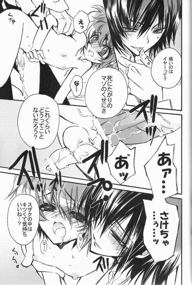 [RIRIADOLL (Takewakamaru)] Kuro no Tulip dan (CODE GEASS: Lelouch of the Rebellion) - Page 15